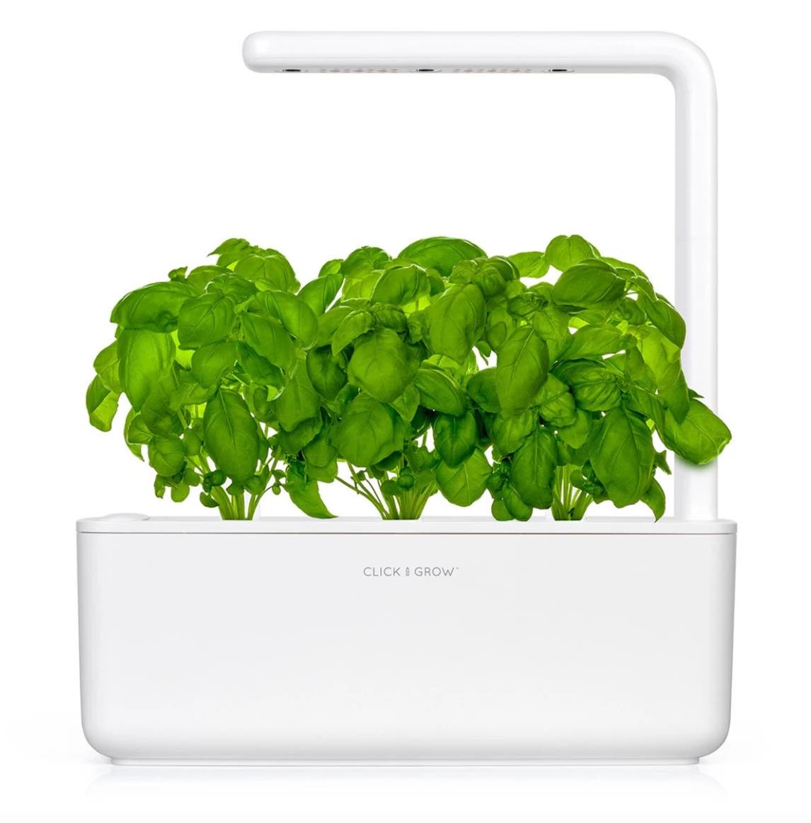 Click and Grow Smart Garden, image courtesy of Click and Grow click and grow smart garden