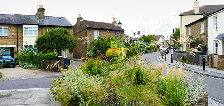 leytonstone wide pettysons