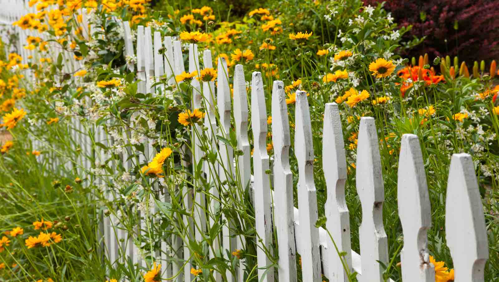 property buyers gardens